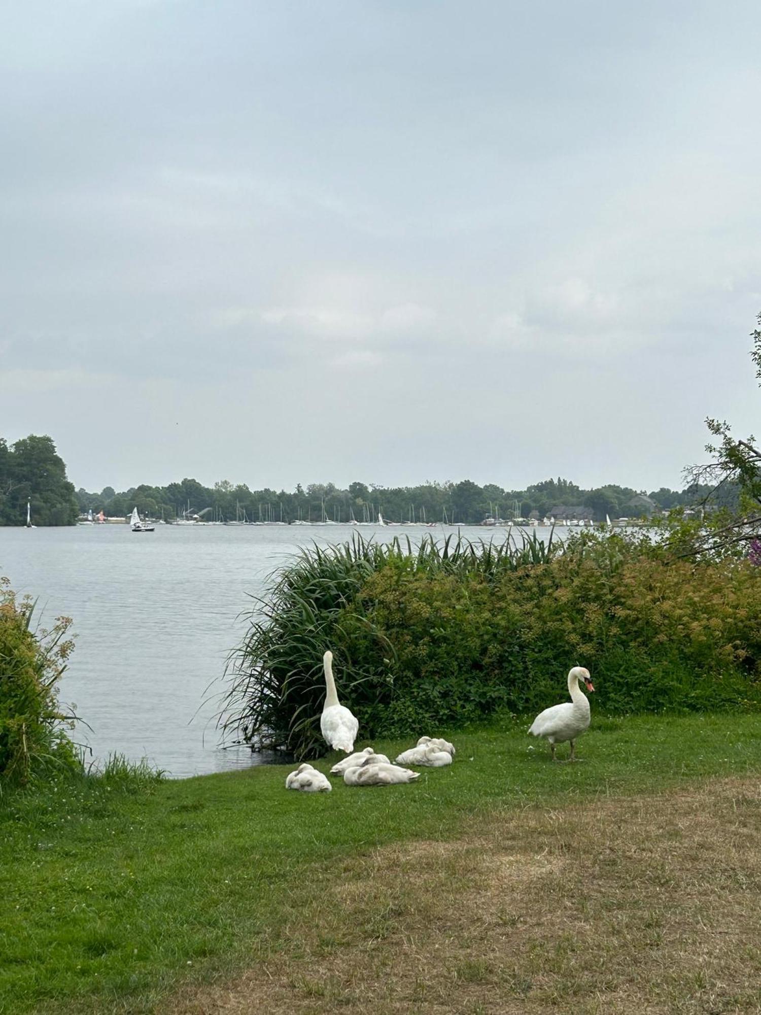 Logement Climatise Erdre Riviere La Chapelle-Sur-Erdre Zewnętrze zdjęcie